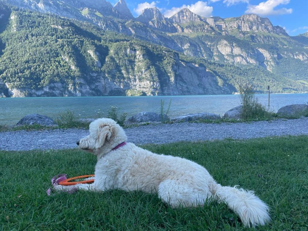 Doodle'S Amazing Chalet -Walensee - Flumserberg - Churfirsten - Heidiland - Pool - Sauna Mols Exterior foto